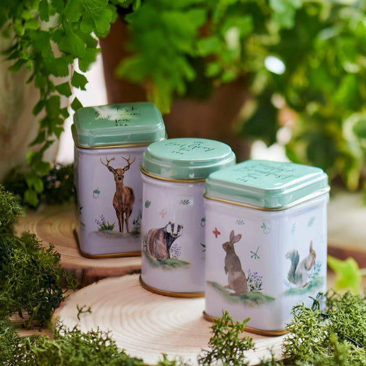 Tea Woodland Friends Tin Gift Set 3