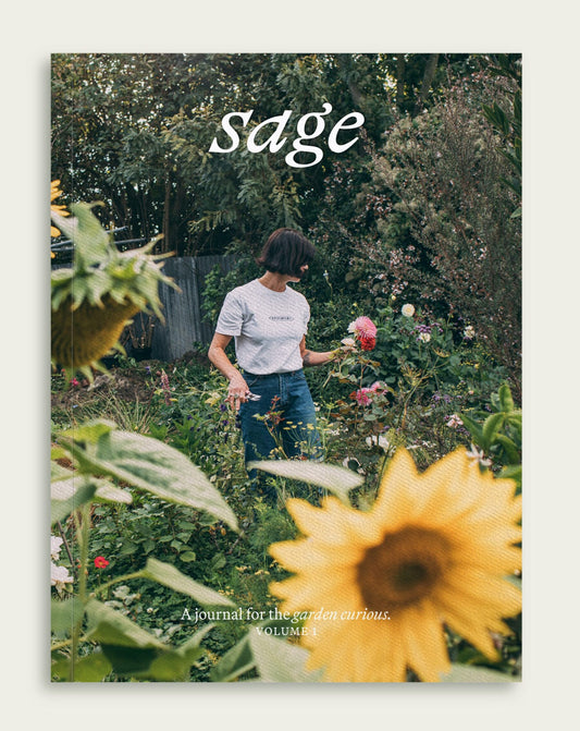 Sage – Vol. 1