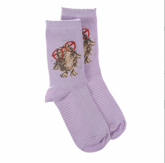 Wrendale Spetacular Owl Socks