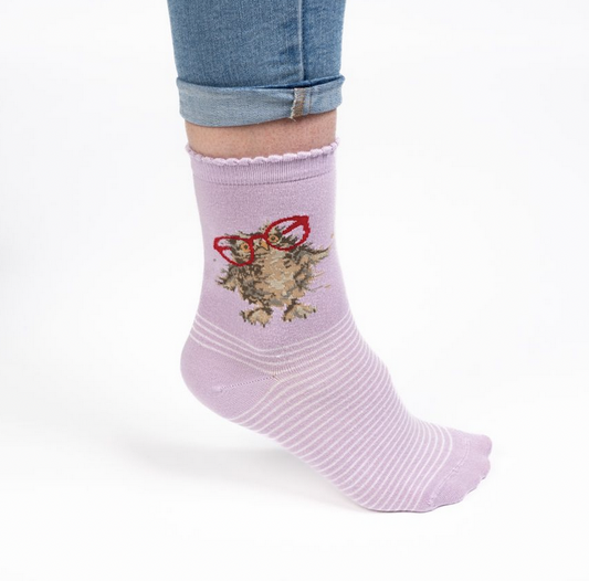 Wrendale Spetacular Owl Socks