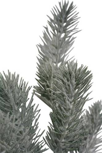 Snowy Pine Spray