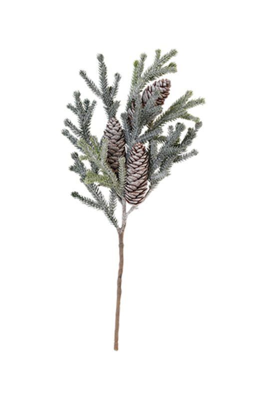 Frosted Alpine Fir Branch w/Cones