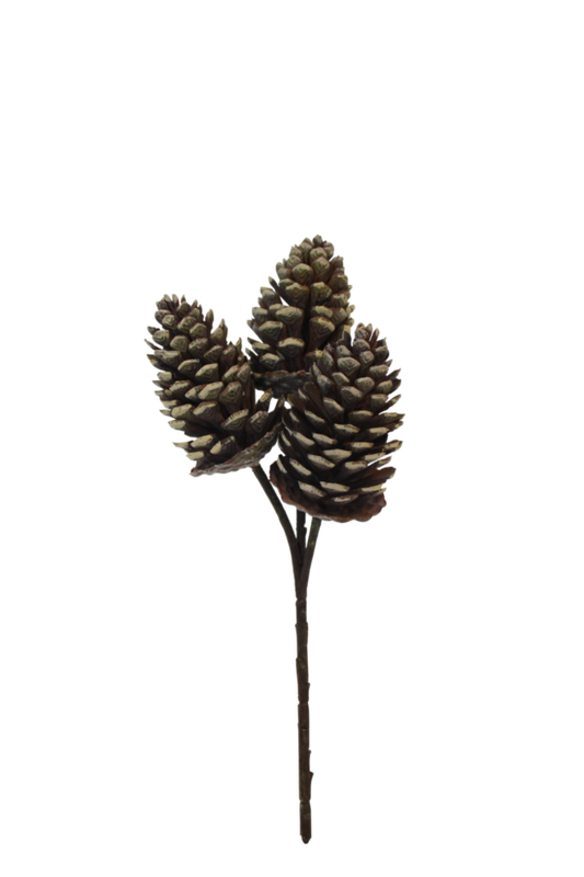 Pinecone Pick