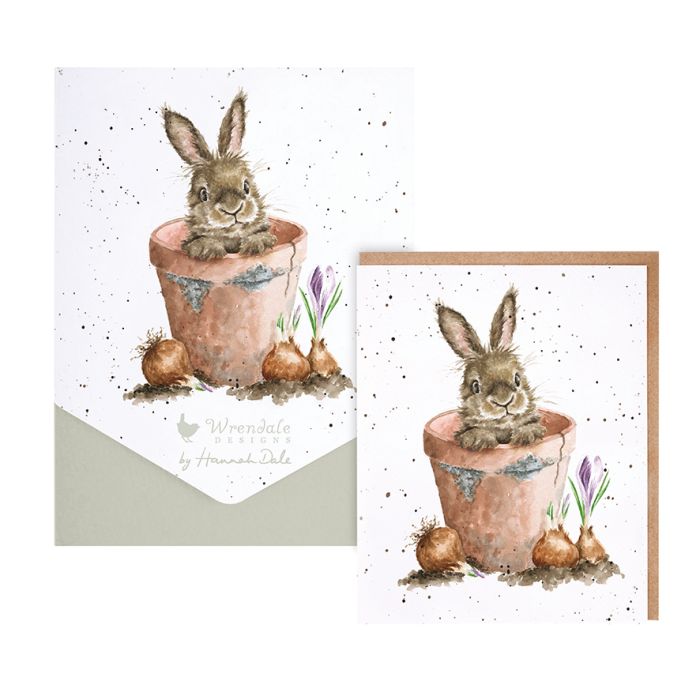 'The Flower Pot' Rabbit Card Pack