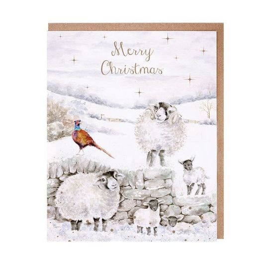 'Merry Christmas to Ewe' Sheep Christmas Card Pack
