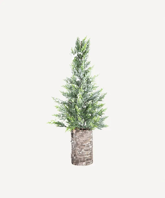 Wood Base Cyprus Tree Tall