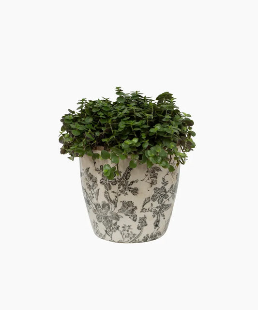 Black Floral Pot Large