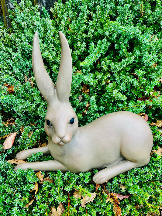 Harold the Hare Lying Brown