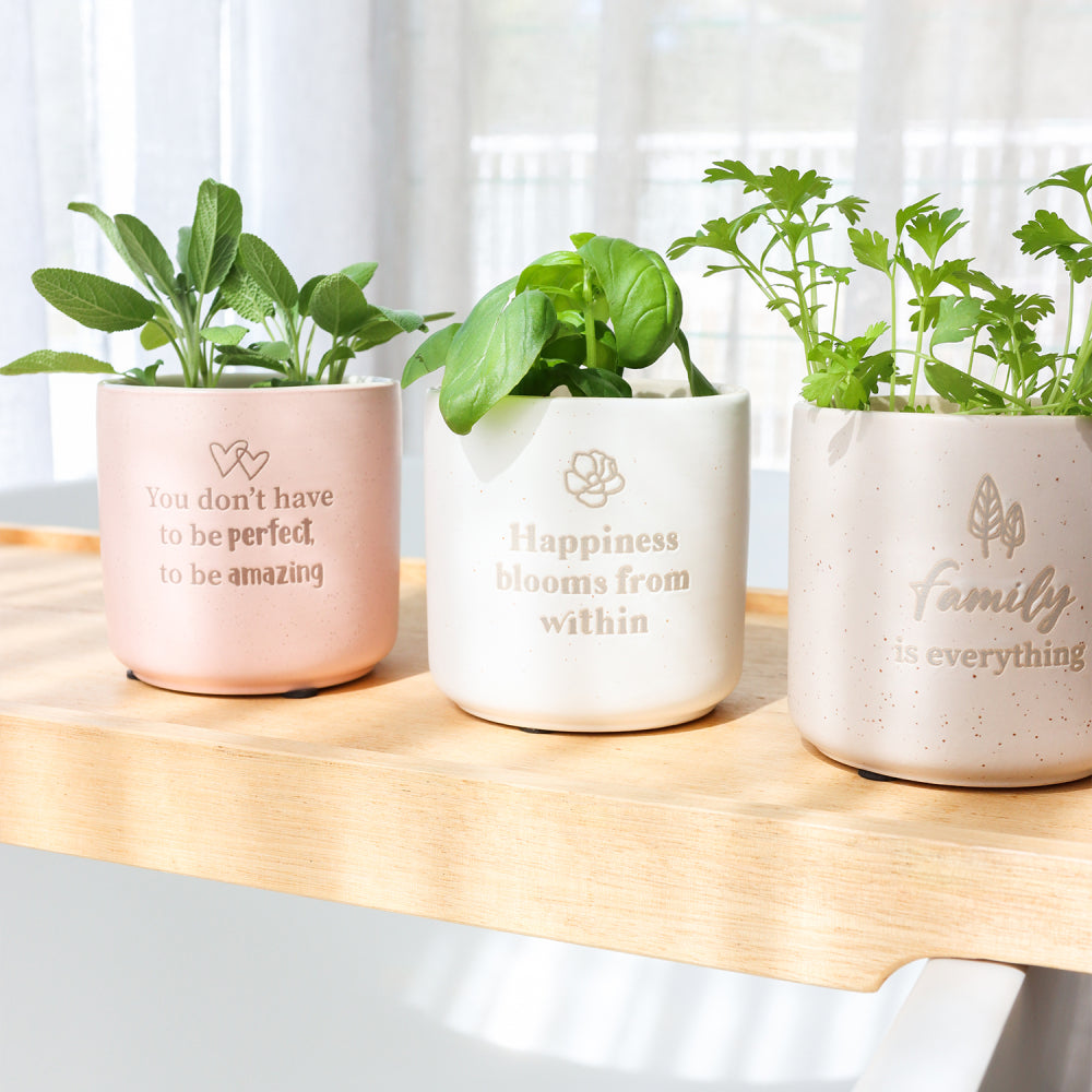 Positive Pots