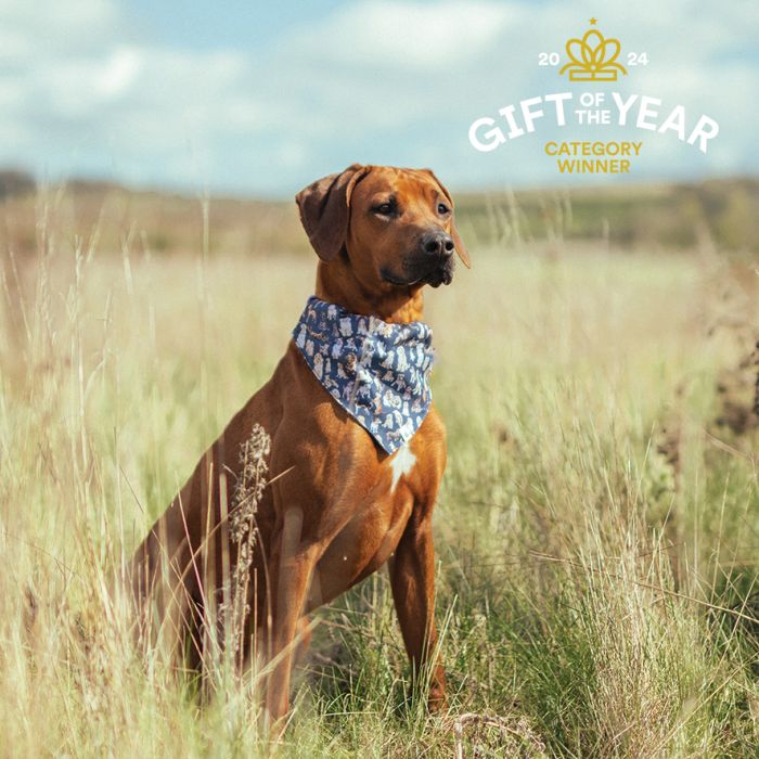Dog Bandanas
