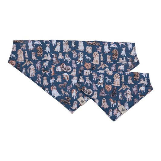 Dog Bandanas