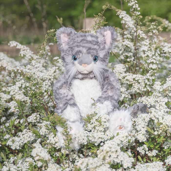 'Esmeralda' Cat Character Junior