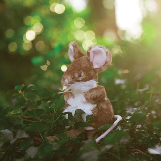 'Oliver' Mouse Character