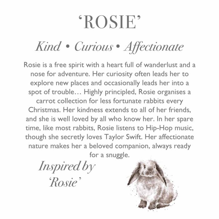 'Rosie' Rabbit Character