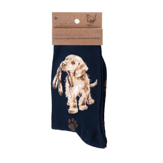 Wrendale 'Hopeful' Labrador Socks