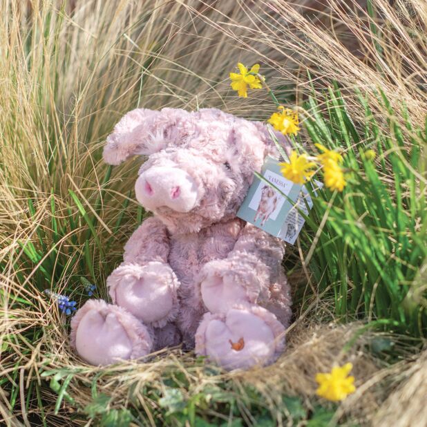 'Vanessa' Pig Character