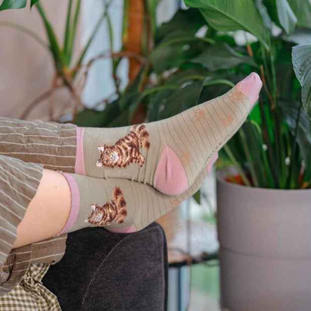 Wrendale Designs 'Feline Fabulous' Cat Socks