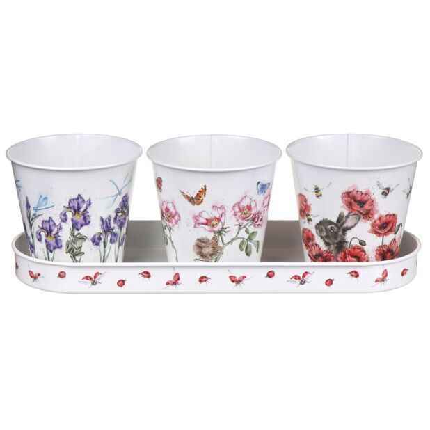Floral Herb Pots & Tray