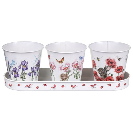 Floral Herb Pots & Tray