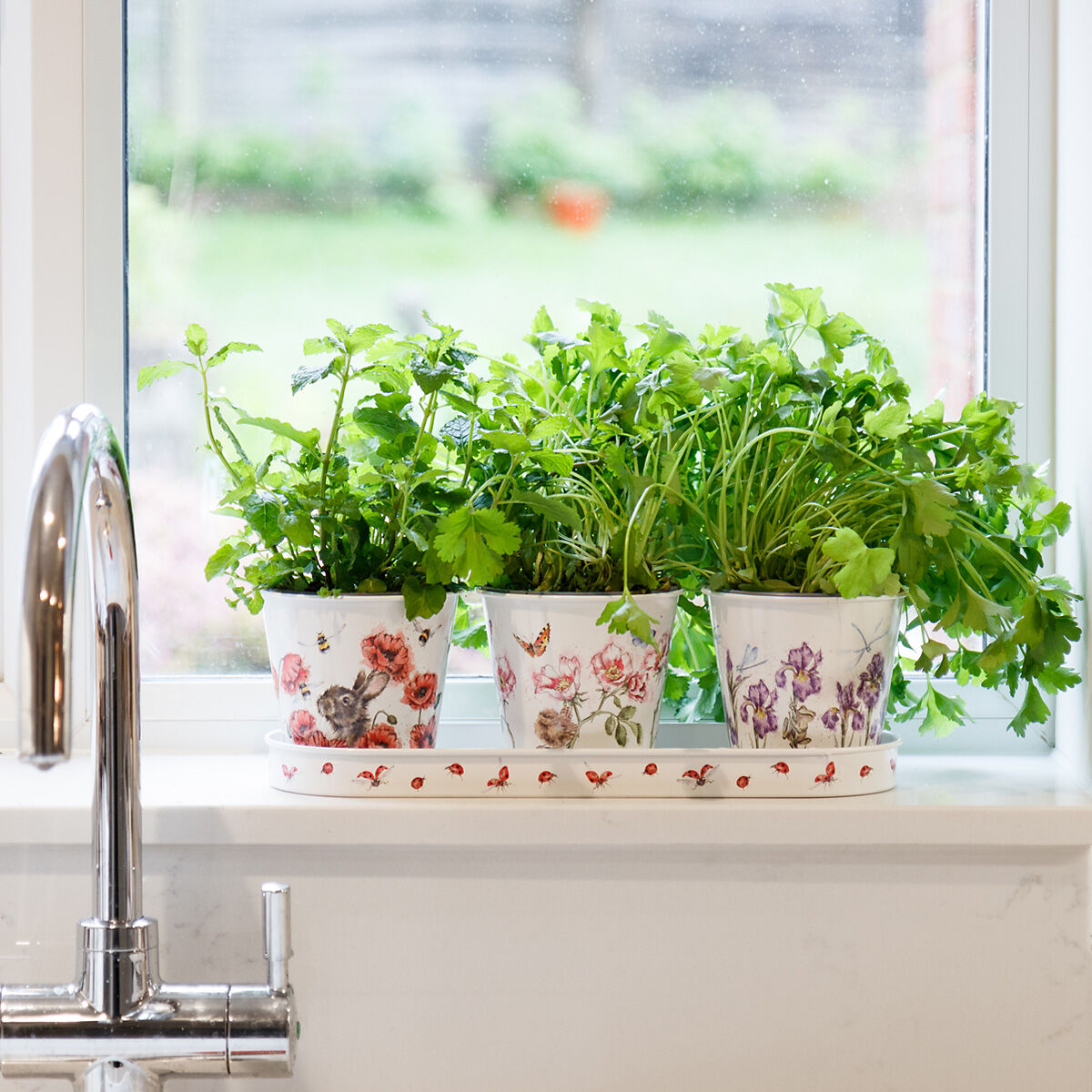 Floral Herb Pots & Tray