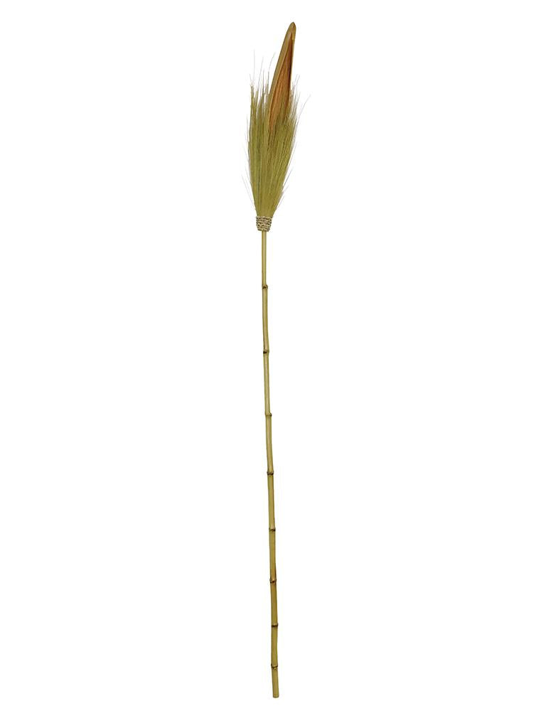 Coco Leaf Stem