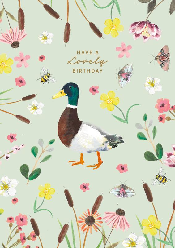 Hammond Gower - Duck Have A Lovely Birthday
