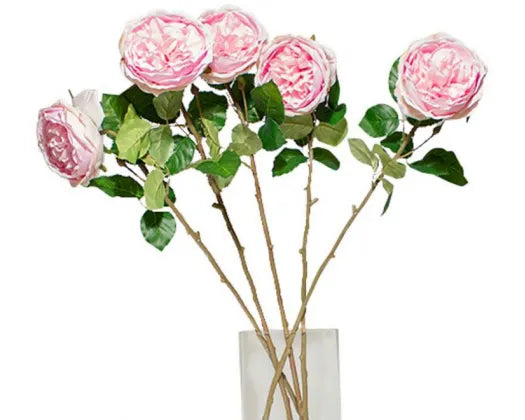Peony Rose | Light Pink