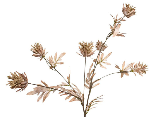 Dried Look Milk Thistle | Brown