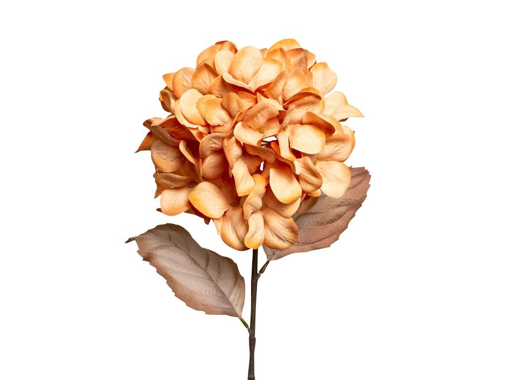 Dried Look Hydrangea