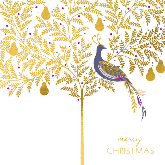 Luxe Boxed Christmas Cards | Partridge