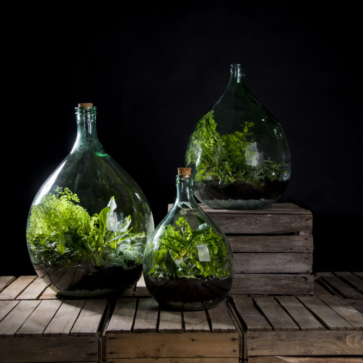 Terrarium Bottle 35L