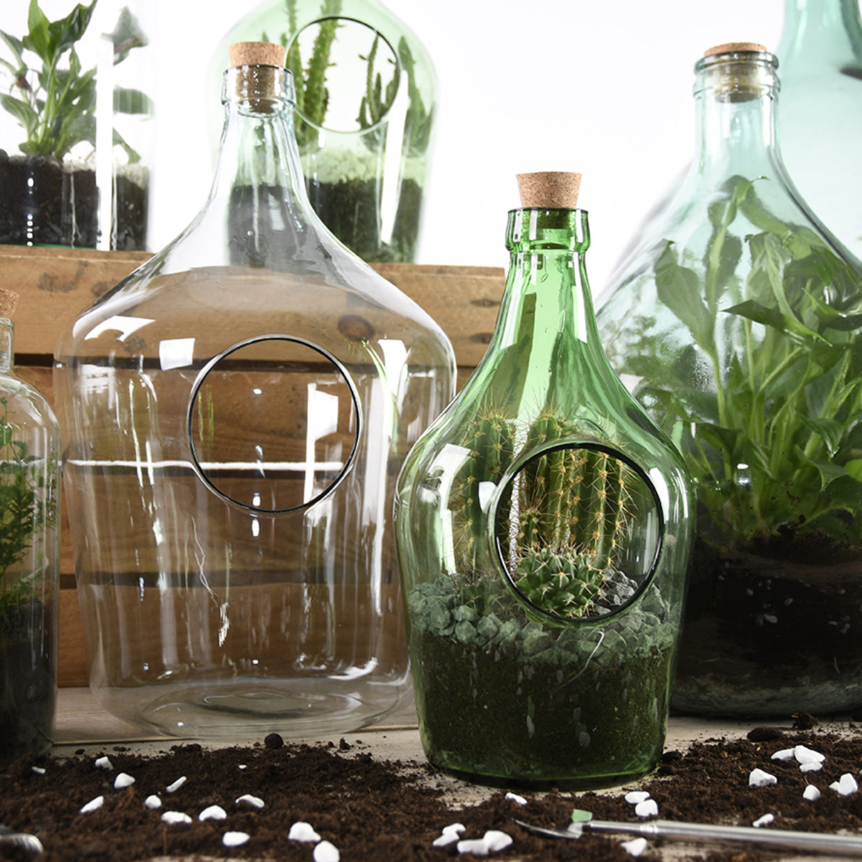 Terrarium Bottle 35L