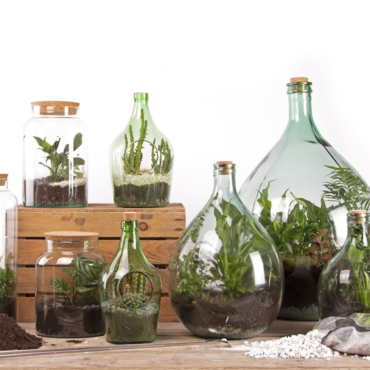 Terrarium Bottle 35L