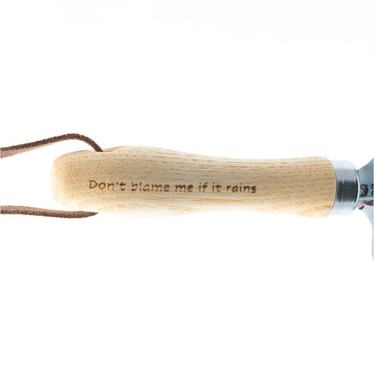 Winnie the Pooh Childrens Gardening Trowel