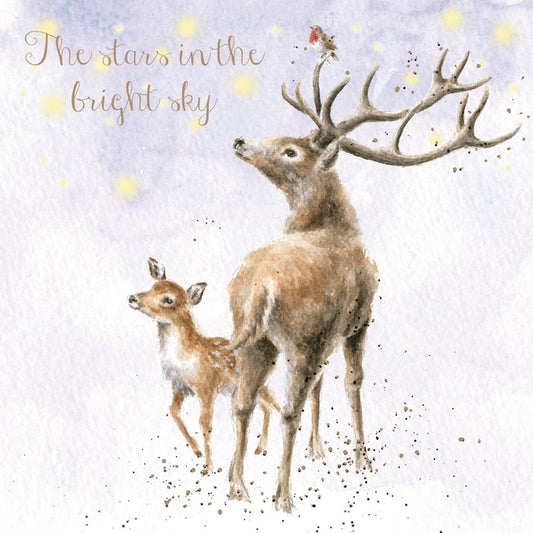 Wrendale Luxury Christmas Cards | The Stars
