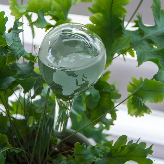 Globe Plant Waterer