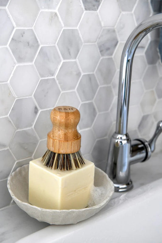 Dish Soap Cube | Lemon Myrtle