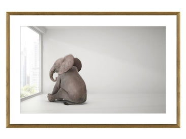 Elephant Day Dreams