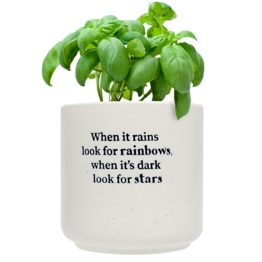 Rainbows Positive Pot
