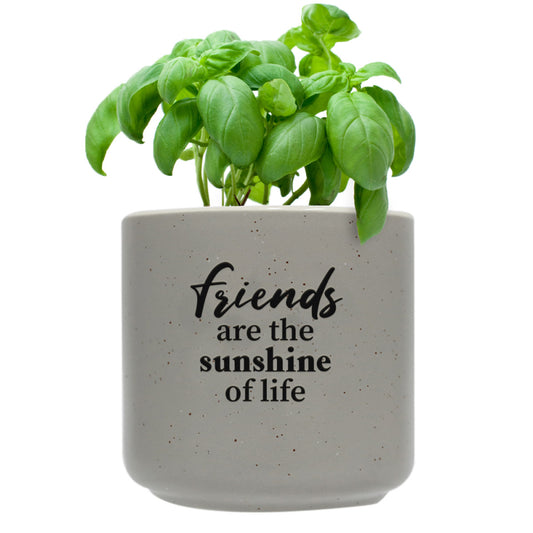 Sunshine Positive Pot