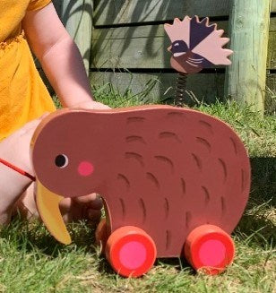 Wheelie Kiwi | Pull Along Toy